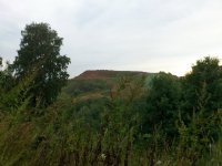 DSC_6105_1.jpg