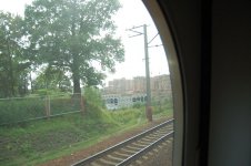 DSC_7837.JPG