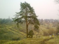 0_288e7_76777893_-2-orig.jpeg
