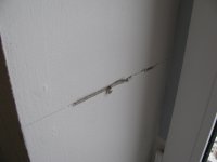 IMG_6528.JPG
