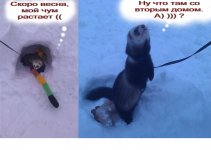 Безимени-2.jpg