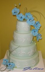 IMG_7550.jpg