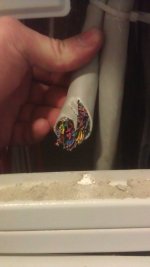 IMAG1074.jpg