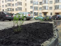 20120603_165849.jpg