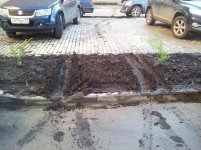 20120604_065727.jpg