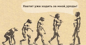 Обезьяна1.gif