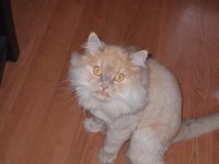 IMGP0511.JPG