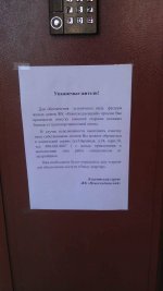 IMAG0131.jpg