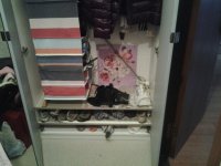 20121126_142106.jpg