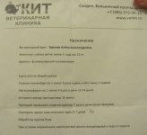 черный щенок 6.JPG