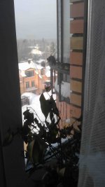 IMAG0841.jpg