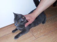 20130213_201707.jpg