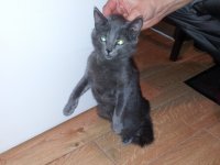 20130213_201740.jpg