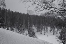 IMG_5955.jpg