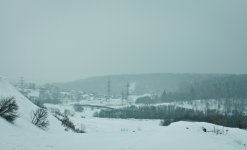 IMG_5927.jpg
