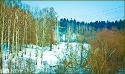 IMG_6038.jpg