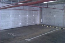 IMAG0224.jpg