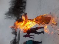 IMG_20130316_162031.jpg