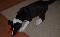 foto3.jpg
