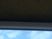 DSC_0006.jpg
