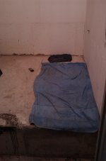 IMAG0513.jpg