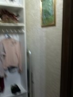 IMG461.jpg