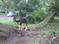 image 3.jpeg