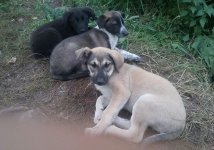 image 8.jpeg