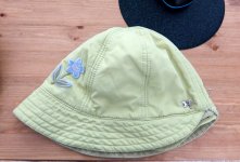 hat1.jpg