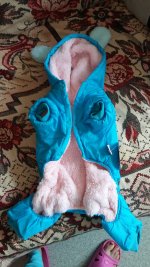20170910_113426.jpg