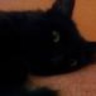 Loki
