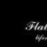 Flat-Project сожитель